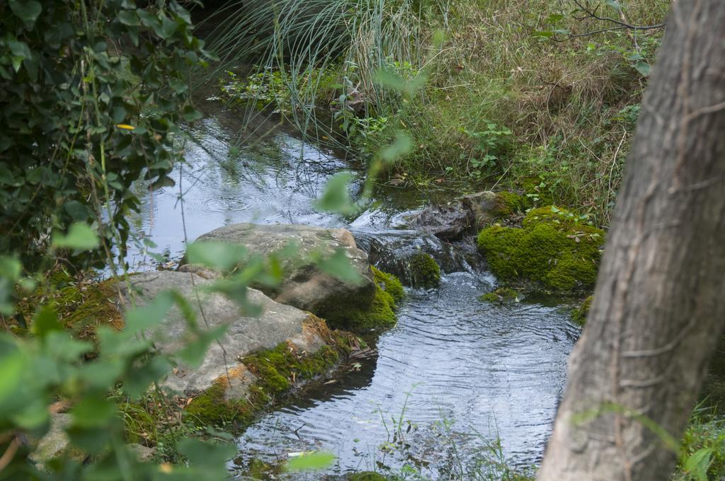 La Remulla Villa Paúls Kültér fotó